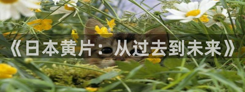 奇米在线视频免费观看：《日本黄片：从过去到未来》