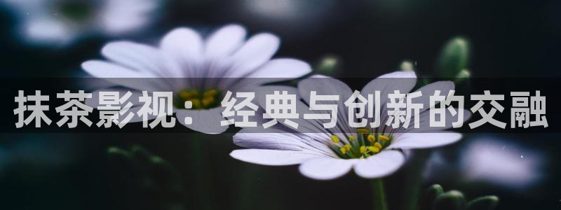 奇米在线播放777：抹茶影视：经典与创新的交融