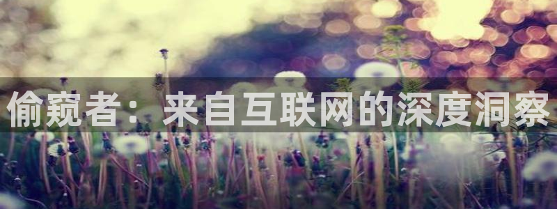 奇米在线观看视频免费：偷窥者：来自互联网的深度洞察